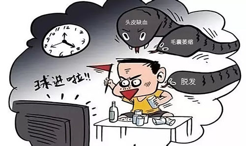 熬夜看球谨防严重脱发