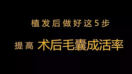 暑期植发,