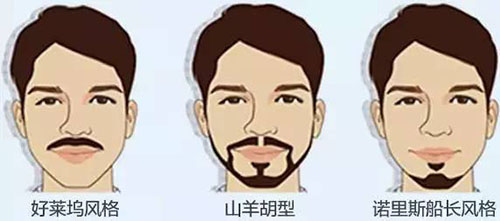 胡须种植,