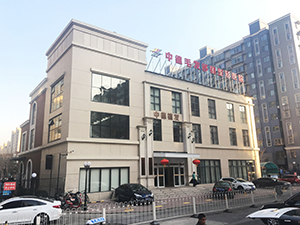 美人尖种植,