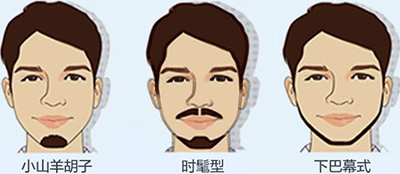 胡须种植,
