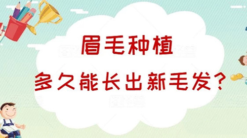 眉毛种植,