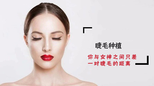 睫毛种植,