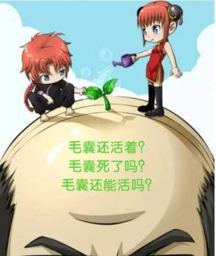植发效果,徐霞,