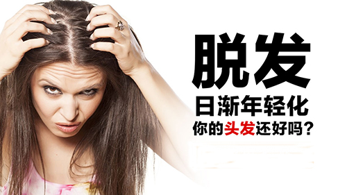 头发,掉头发怎么办,