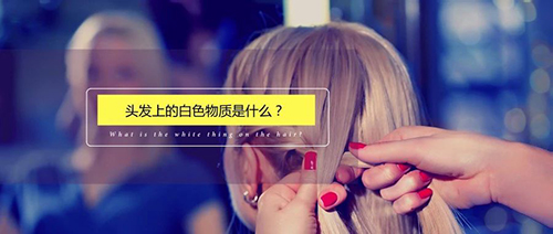 毛囊,徐霞,