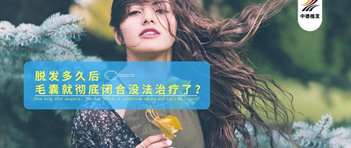 徐霞,毛囊,