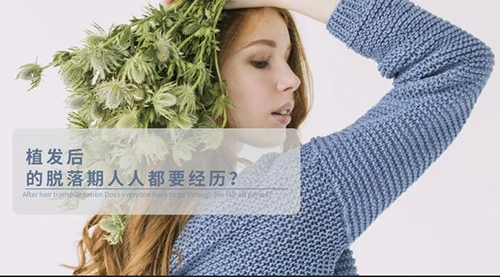 植发,脱落期,