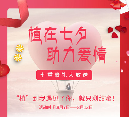 中德植发,七夕,