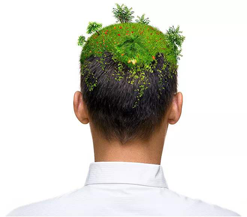 植发,减龄,