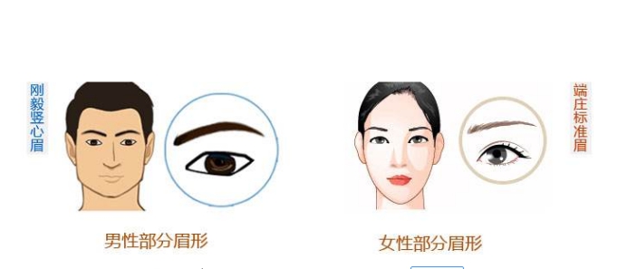 眉毛种植,